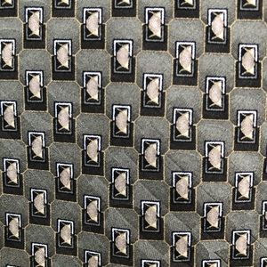 Domani 100% Silk Tie